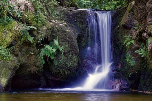 baden baden alemania 1