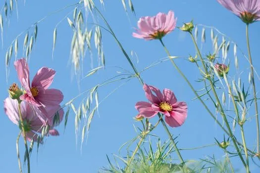 Baden-Baden, Alemania: guía de viaje y atracciones baden baden alemania 4 vivir en alemania españoles y latinos en alemania baden baden alemania 4 vivir en Alemania