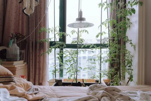 coste de vida alemania 3 vivir en Alemania